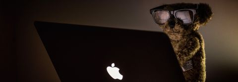 Professional Negligence Claims